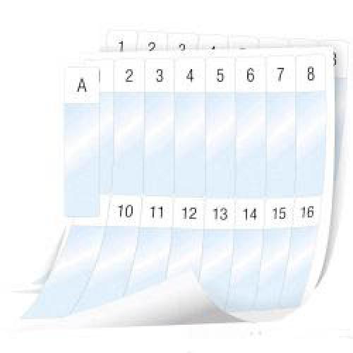 XTL Sayfa Etiket Lamine Tel/Kablo 24x103mm 1008 etiket