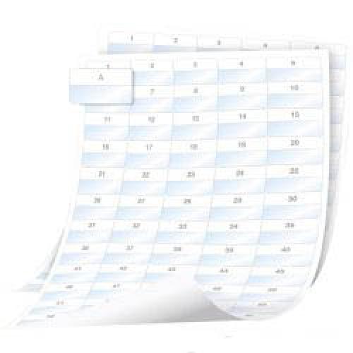 XTL Sayfa Etiket Lamine Tel/Kablo 41x23mm 2040 etiket